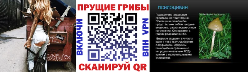 KRAKEN ТОР  Первоуральск  Псилоцибиновые грибы мицелий 